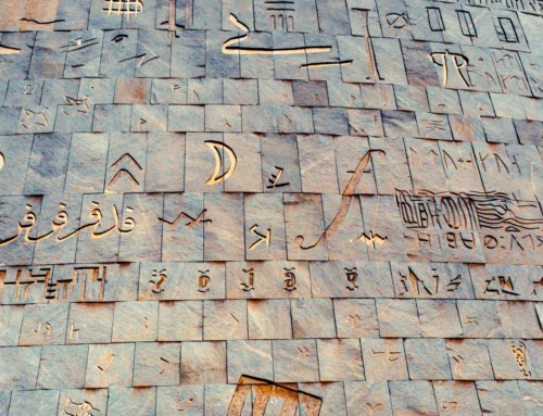 Egypt Date-Palm Development